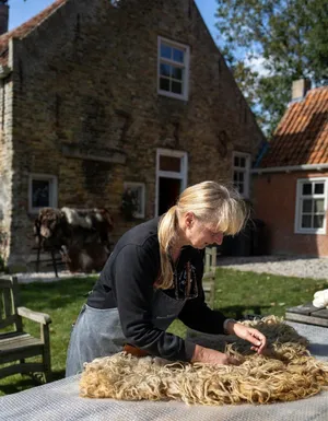 Gallerij afbeelding
