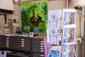 Gallerij afbeelding